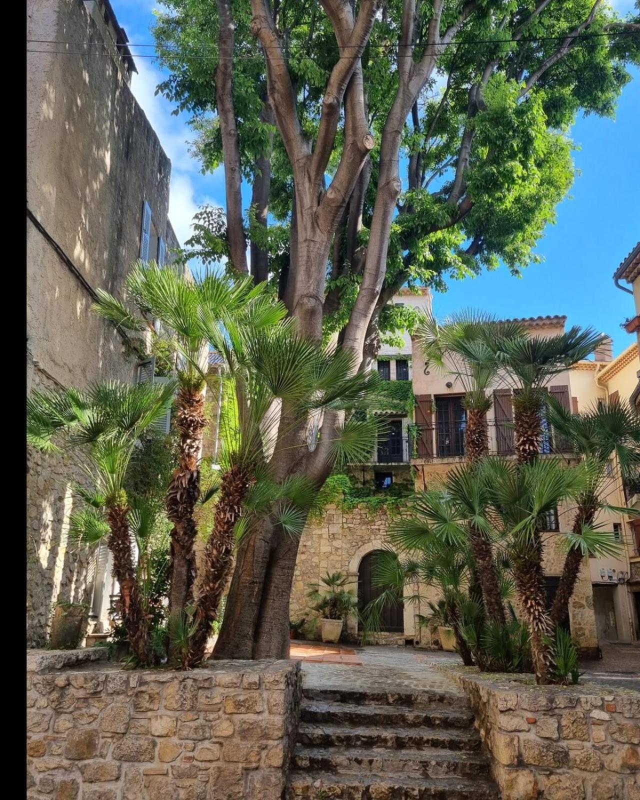 06An - Beautiful Apartment In The Heart Of Old Antibes Eksteriør bilde