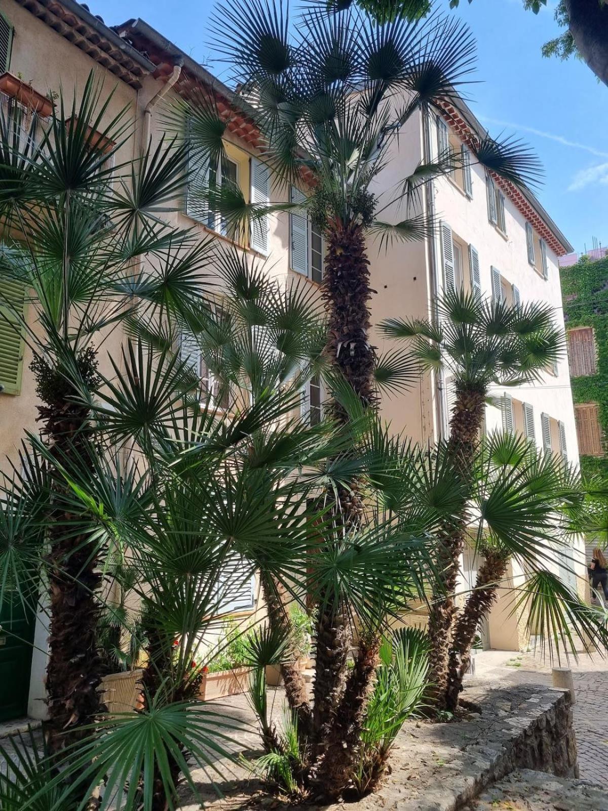06An - Beautiful Apartment In The Heart Of Old Antibes Eksteriør bilde